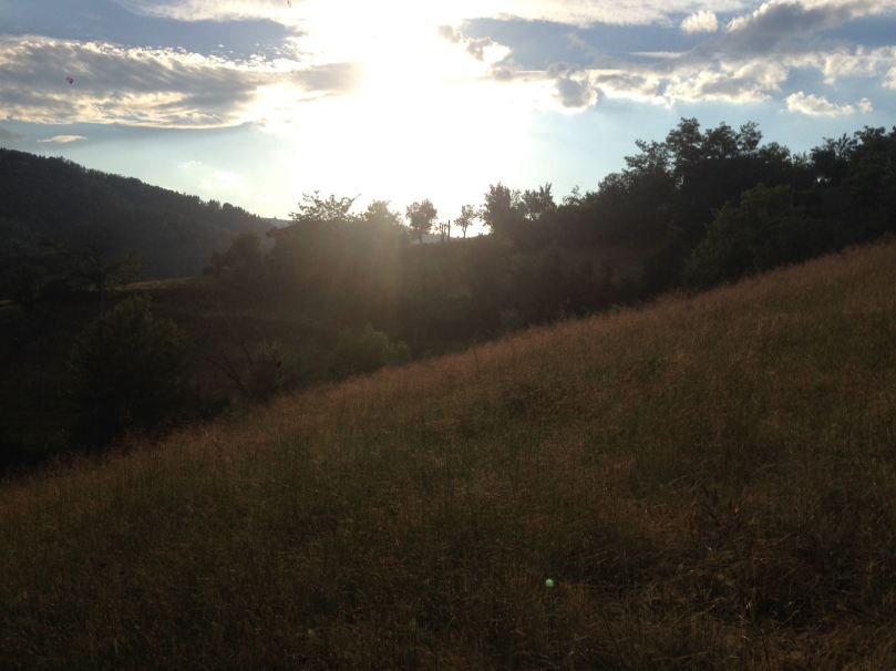 WhatsApp Image 2017-07-06 at 11.07.07