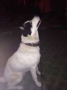 WhatsApp Image 2017-09-22 at 14.31.41 (1)