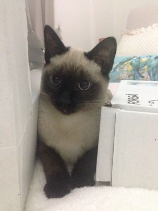 WhatsApp Image 2016-09-30 at 16.12.42