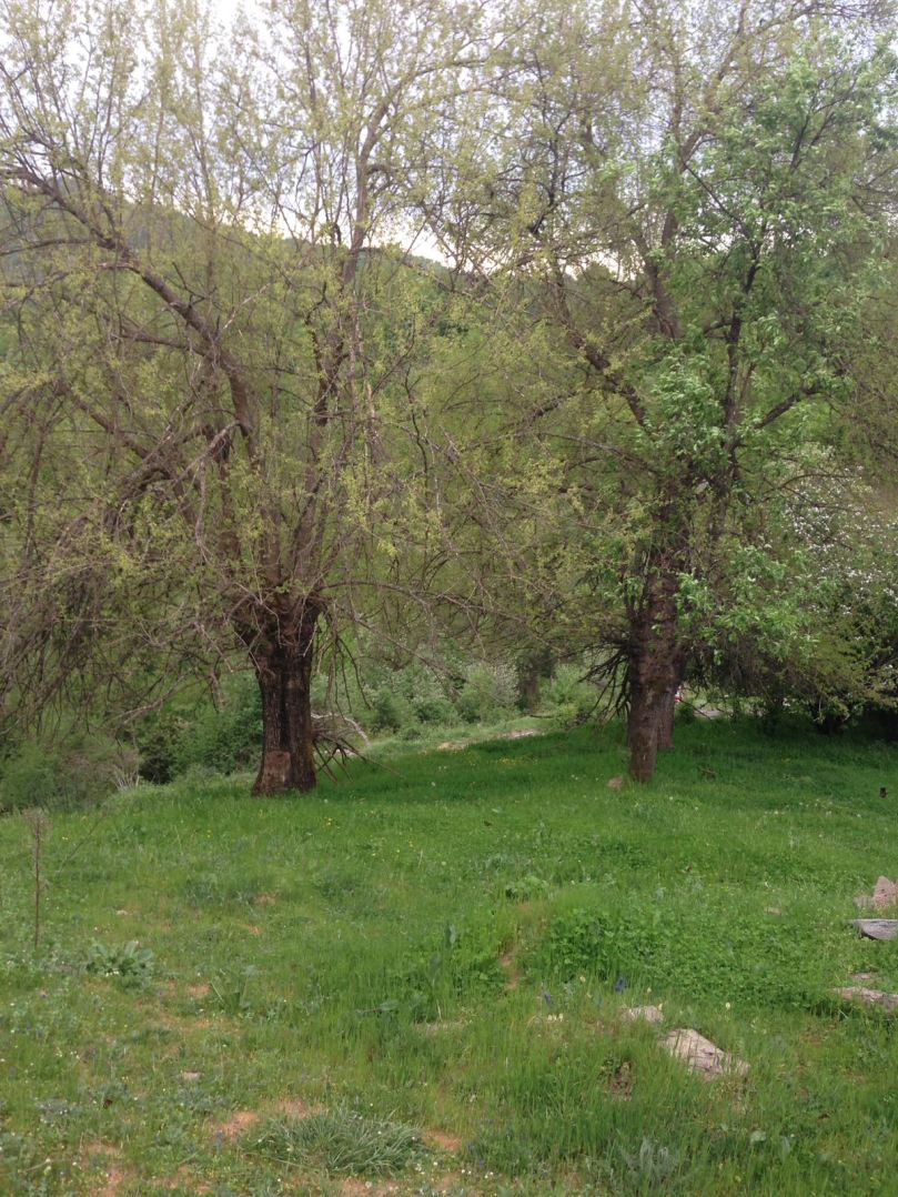 WhatsApp Image 2018-05-11 at 11.43.20